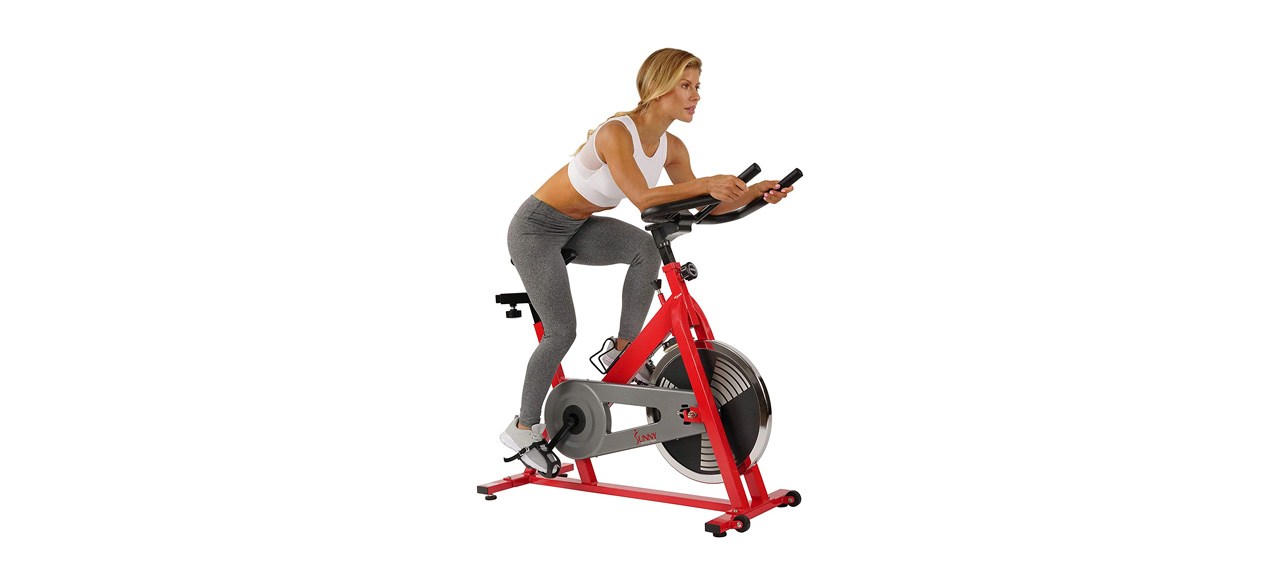 Best Sunny Health and Fitness Indoor Exercise Bike